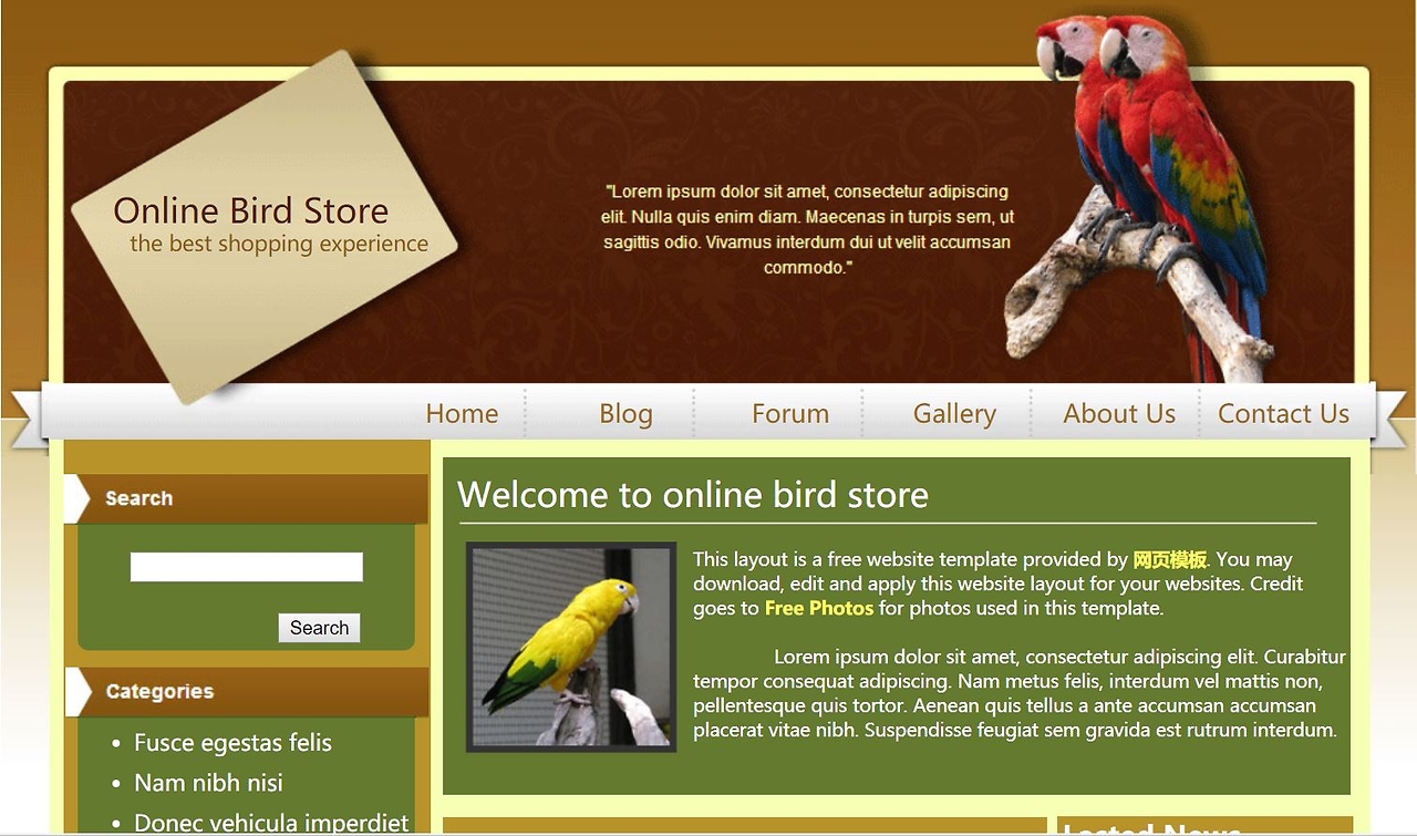 HTML5网页制作入门 从零开始打造你的第一个网页